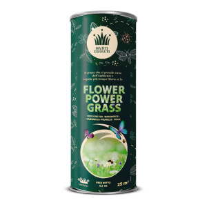 Flower Power Grass – zmes osív pre kvitnúci trávnik s nízkym kosením