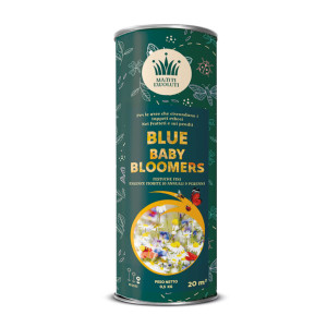 Blue Baby Bloomers – kvitnúci nízkoúdržbový trávnik